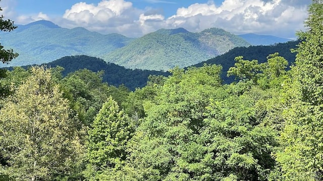 TR1-3 Moody Bridge Rd, Cullowhee, NC 28723 - photo 13