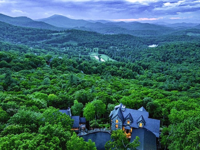 168 Old Wagon Rd, Highlands, NC 28741 - view from above of property with a heavily wooded area and a mountain backdrop