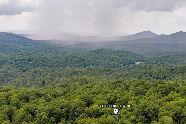 161 Kestrel Ct, Sapphire, NC 28774 - view of mountain backdrop featuring a forest