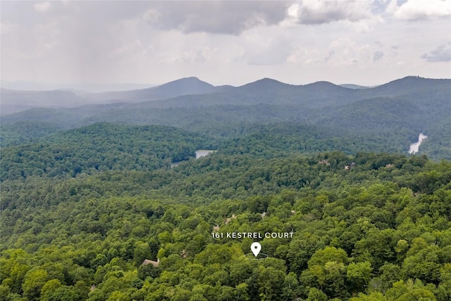 161 Kestrel Ct, Sapphire, NC 28774 - mountain view with a forest