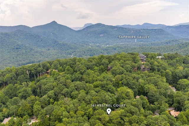 161 Kestrel Ct, Sapphire, NC 28774 - mountain view featuring a heavily wooded area