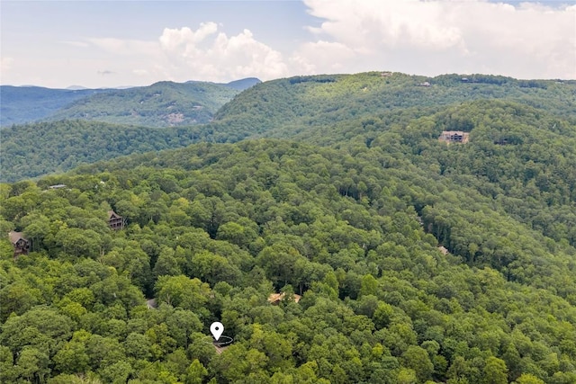 161 Kestrel Ct, Sapphire, NC 28774 - mountain view featuring a heavily wooded area