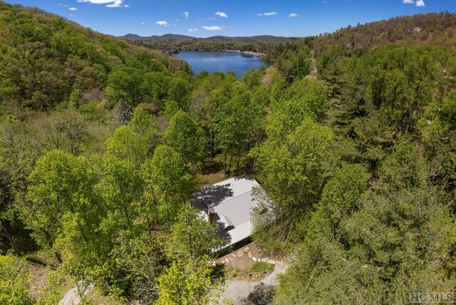 drone / aerial view with a water and mountain view