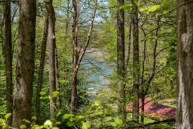 view of local wilderness