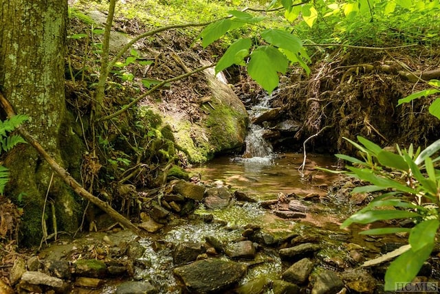 view of nature with a water view