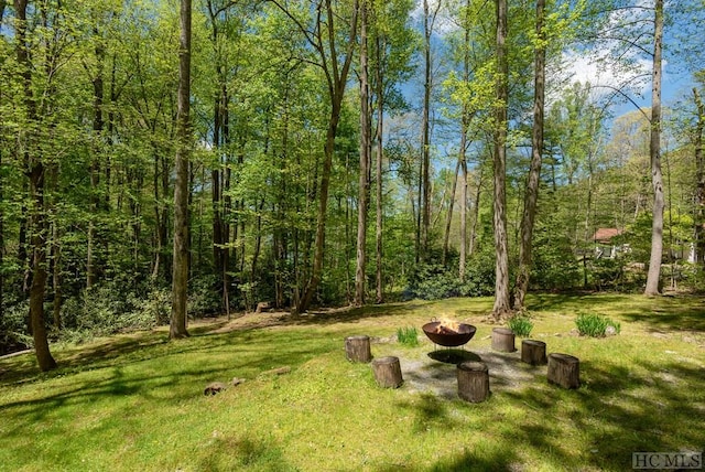 view of yard featuring an outdoor fire pit