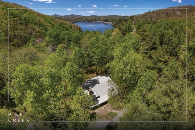 drone / aerial view of a heavily wooded area and a water and mountain view