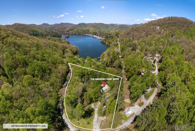 view of property location featuring a forest, a water and mountain view, and property boundaries highlighted