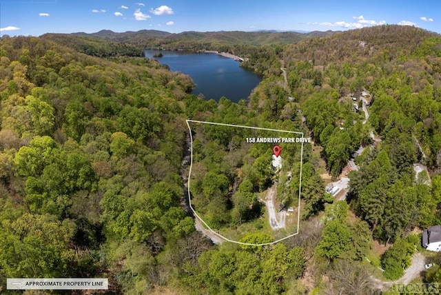 drone / aerial view featuring a water and mountain view