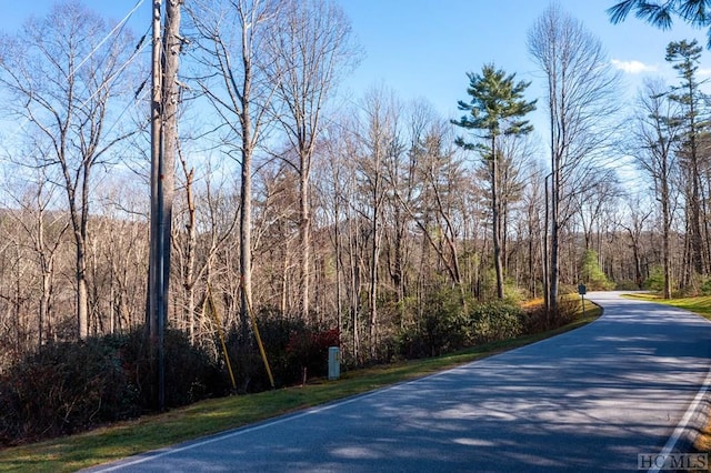 Listing photo 3 for LOT30 Boiling Springs Rd, Sapphire NC 28774