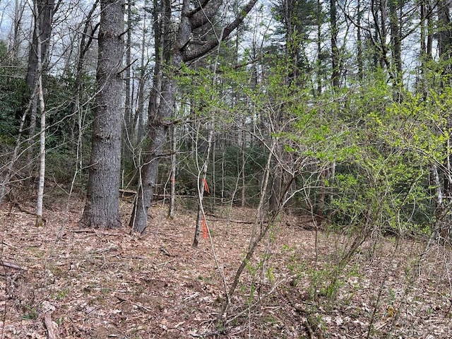 TBD N 5th St, Highlands, NC 28741