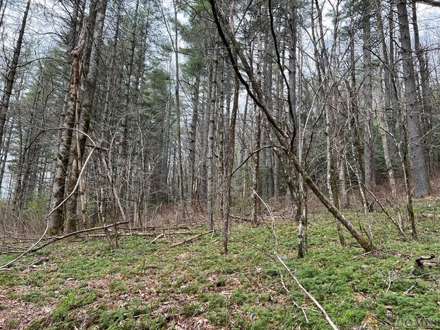 TBD N 5th St, Highlands, NC 28741