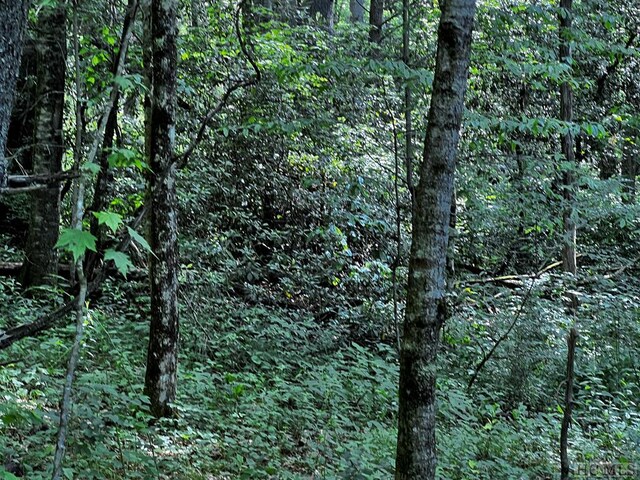 TBD N 5th St, Highlands, NC 28741