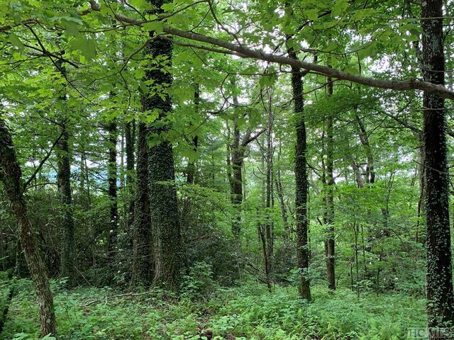 TBD N 5th St, Highlands, NC 28741