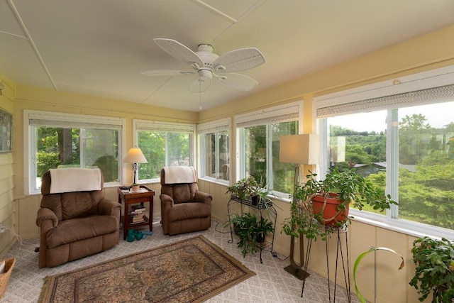 614 Country Club Dr, Franklin, NC 28734 - photo 37