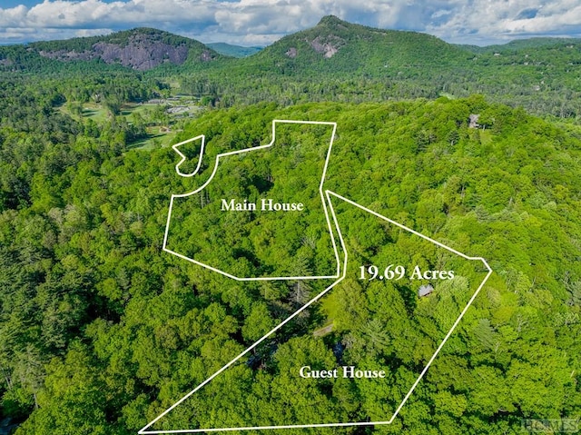 birds eye view of property featuring a mountain view