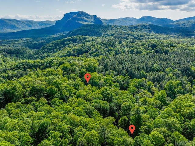 drone / aerial view with a mountain view