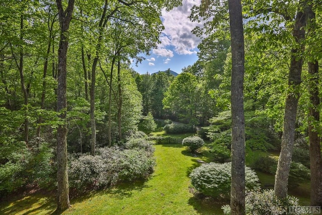 view of landscape