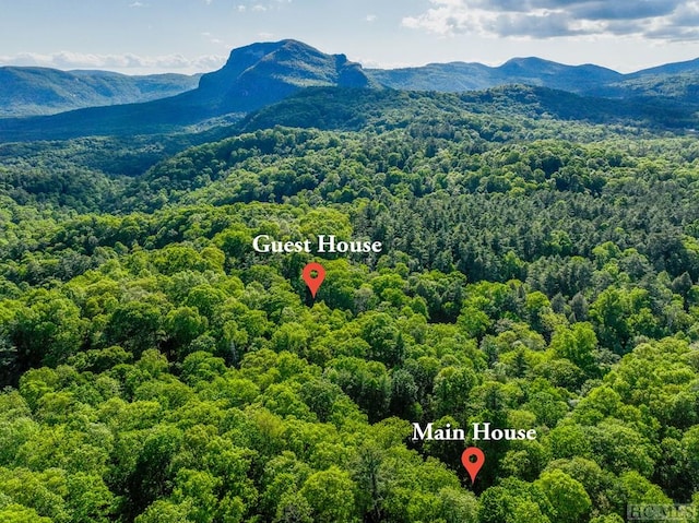 birds eye view of property featuring a mountain view