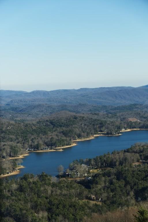 water view with a mountain view and a wooded view