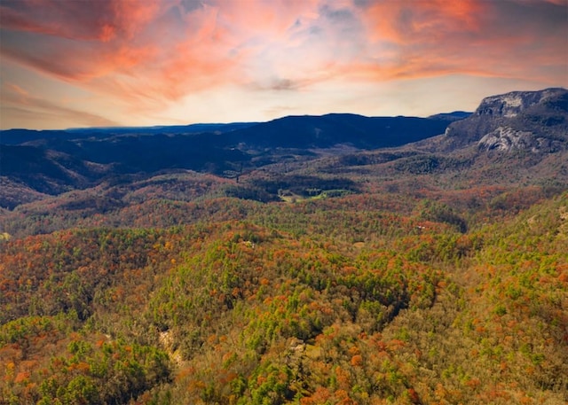 208 Nashs Knl, Cashiers, NC 28717 - photo 20