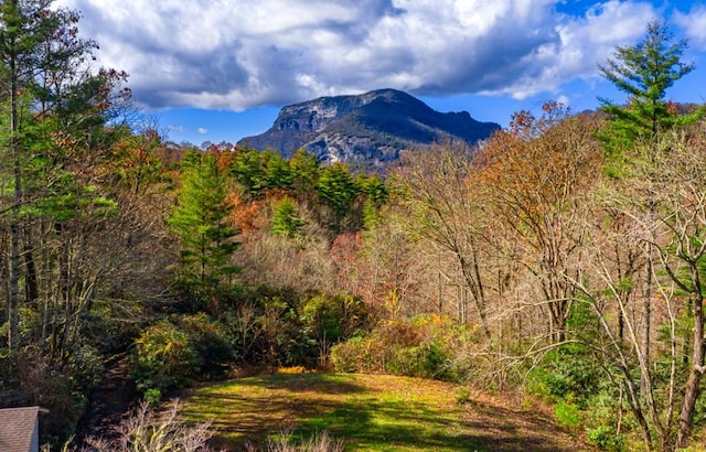 208 Nashs Knl, Cashiers, NC 28717 - photo 21