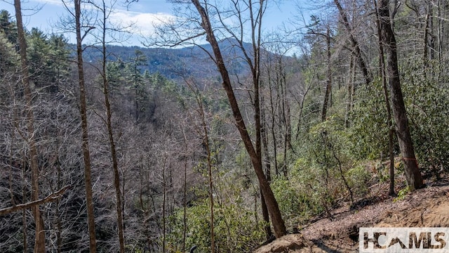 208 Nashs Knl, Cashiers, NC 28717 - photo 9