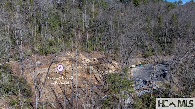 208 Nashs Knl, Cashiers, NC 28717 - photo 14