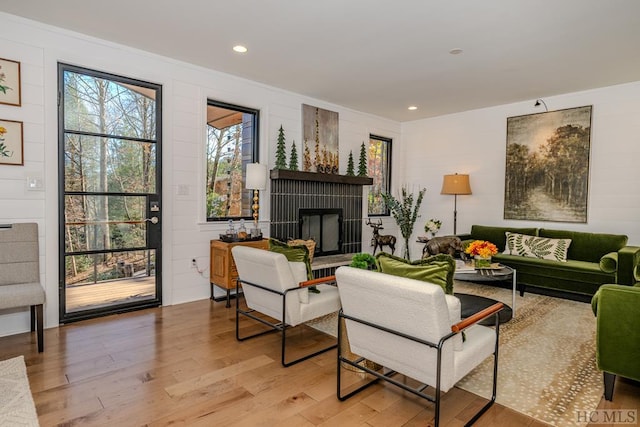 living room featuring light hardwood / wood-style floors