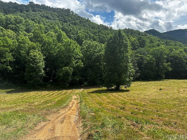 Listing photo 2 for L15 Trout Creek Rd, Tuckasegee NC 28783