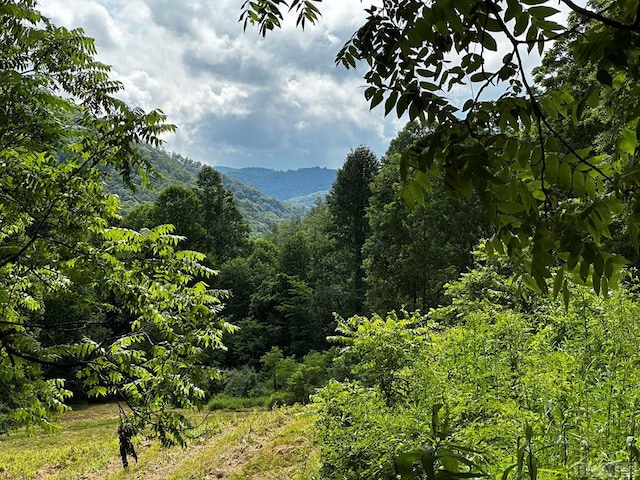 L15 Trout Creek Rd, Tuckasegee NC, 28783 land for sale