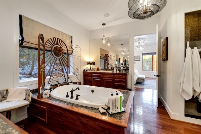 bathroom with vanity, hardwood / wood-style floors, and a washtub