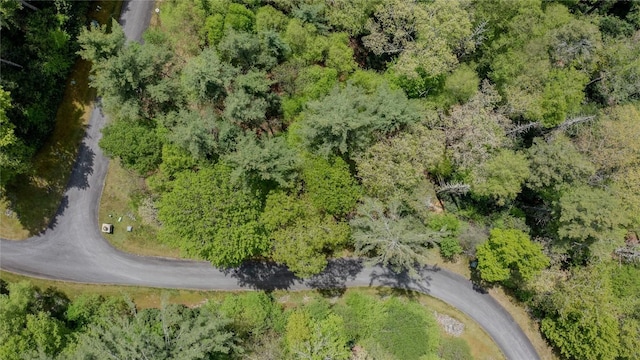 124 Hawks Ledge Ln, Highlands, NC 28741 - photo 8