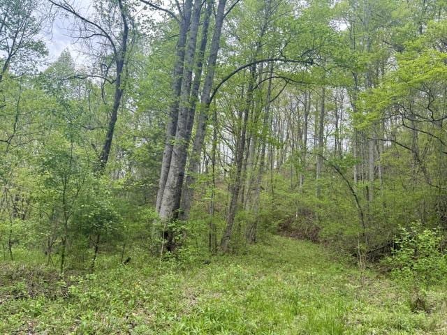 0 Bellaire Ests, Sylva, NC 28779