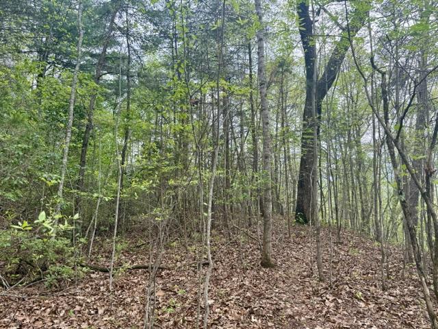 0 Bellaire Ests, Sylva, NC 28779