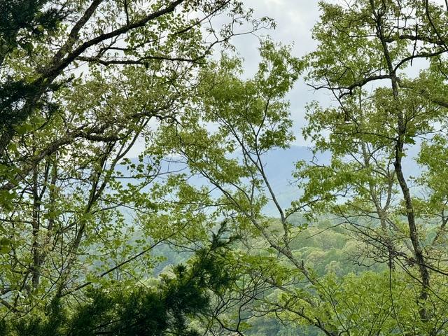 0 Bellaire Ests, Sylva, NC 28779
