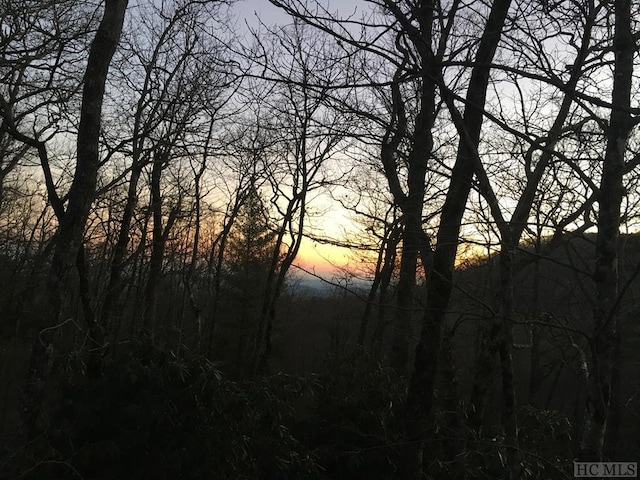 view of nature at dusk