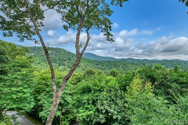 property view of mountains