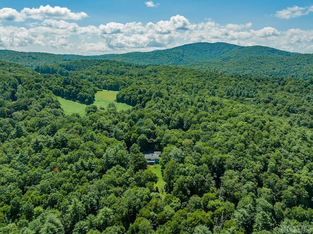 aerial view with a forest view and a mountain view