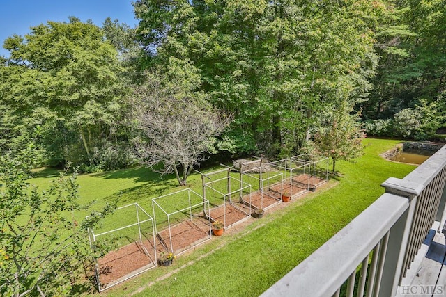 view of yard featuring a garden