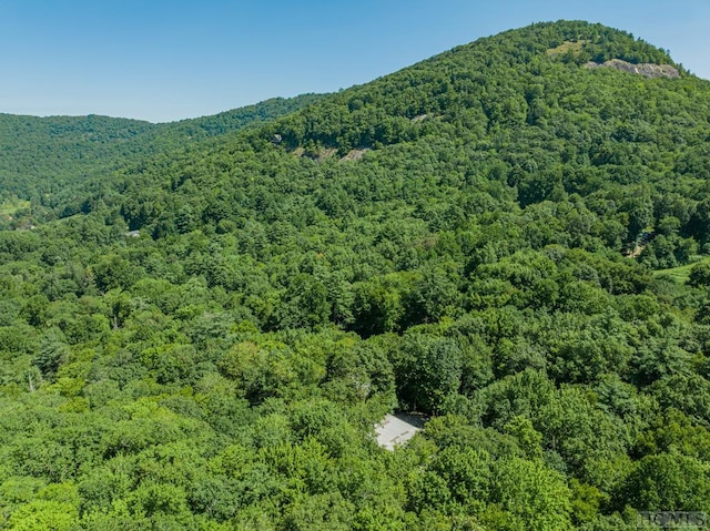 view of mountain feature featuring a forest view