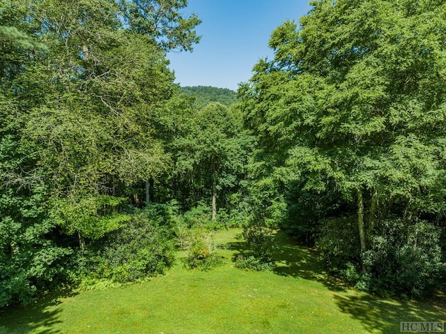 view of nature featuring a wooded view