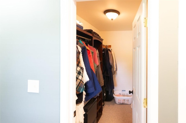 walk in closet with carpet flooring