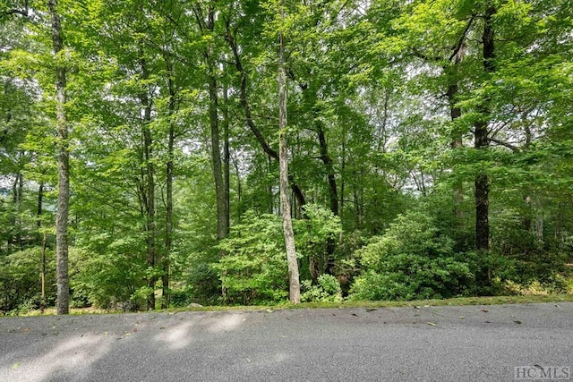 Listing photo 2 for LOT13 Windemere Dr, Sapphire NC 28774