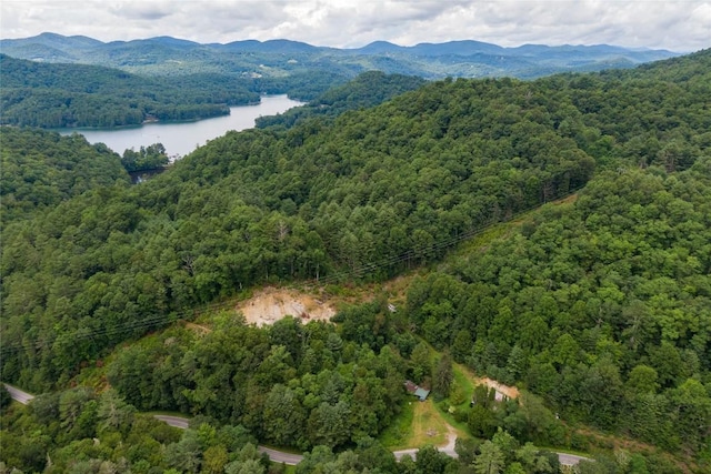 49 Hero Ln, Glenville, NC 28736 - photo 4