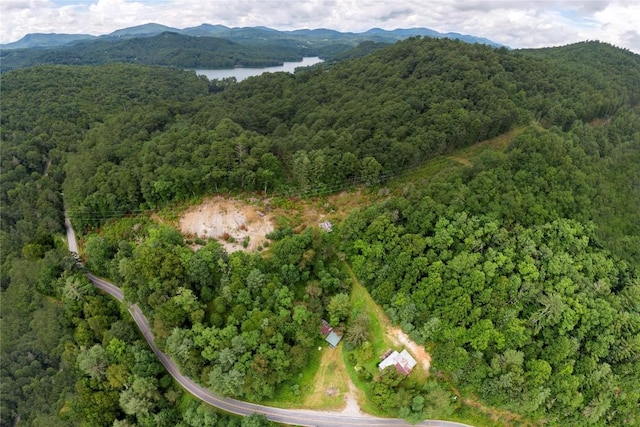 49 Hero Ln, Glenville, NC 28736 - photo 2
