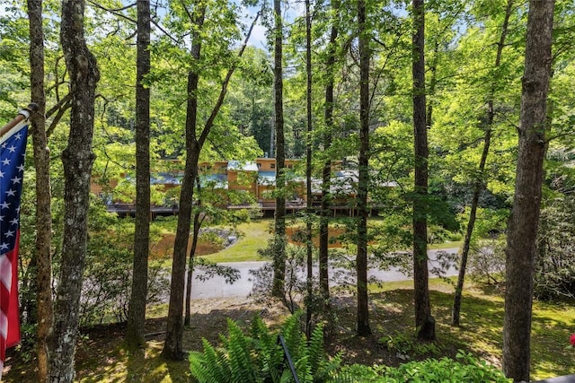 38 Lonely Mountain Dr Unit 24-A, Sapphire, NC 28774 - water view