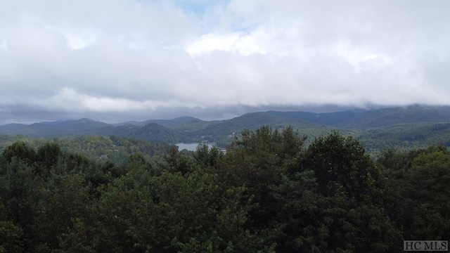 LOT219 Drystack Way, Cashiers NC, 28717 land for sale