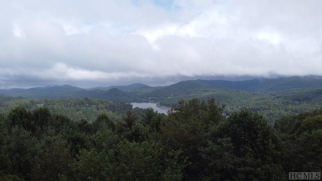 Listing photo 2 for LOT219 Drystack Way, Cashiers NC 28717