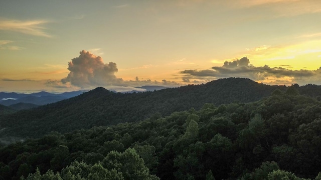00 Buck Knob Rd, Scaly Mountain, NC 28775